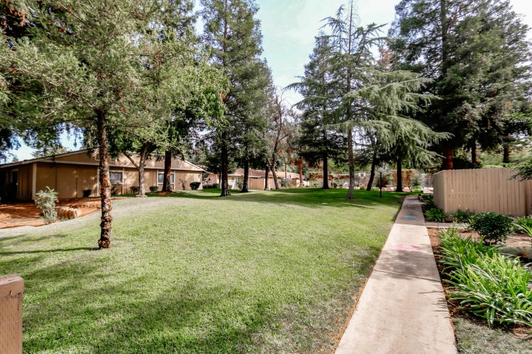 photo of Sierra Meadows grassy area
