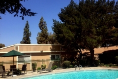 CS-Pool-Pic-2